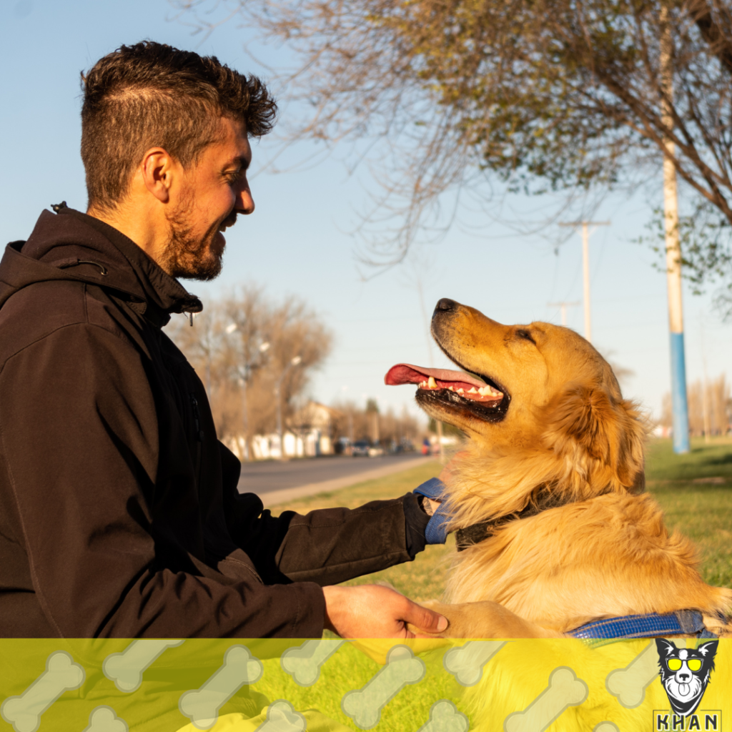 paseo-canino-beneficios-del-paseo-canino-fortalecimiento-del-vinculo