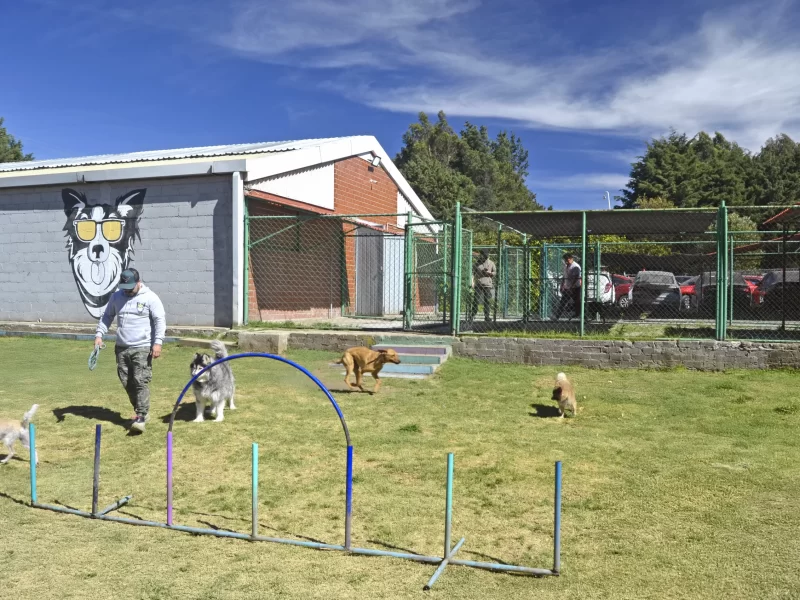 instalaciones-seguras-khan-perros