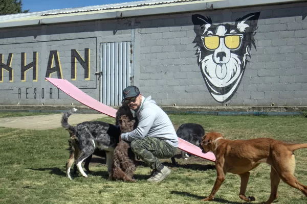 hotel-de-mascotas-khan