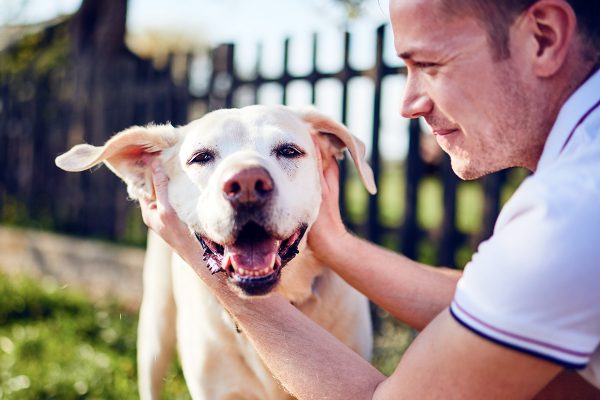 happy-dog-and-his-owner-GA8QN4Z.jpg